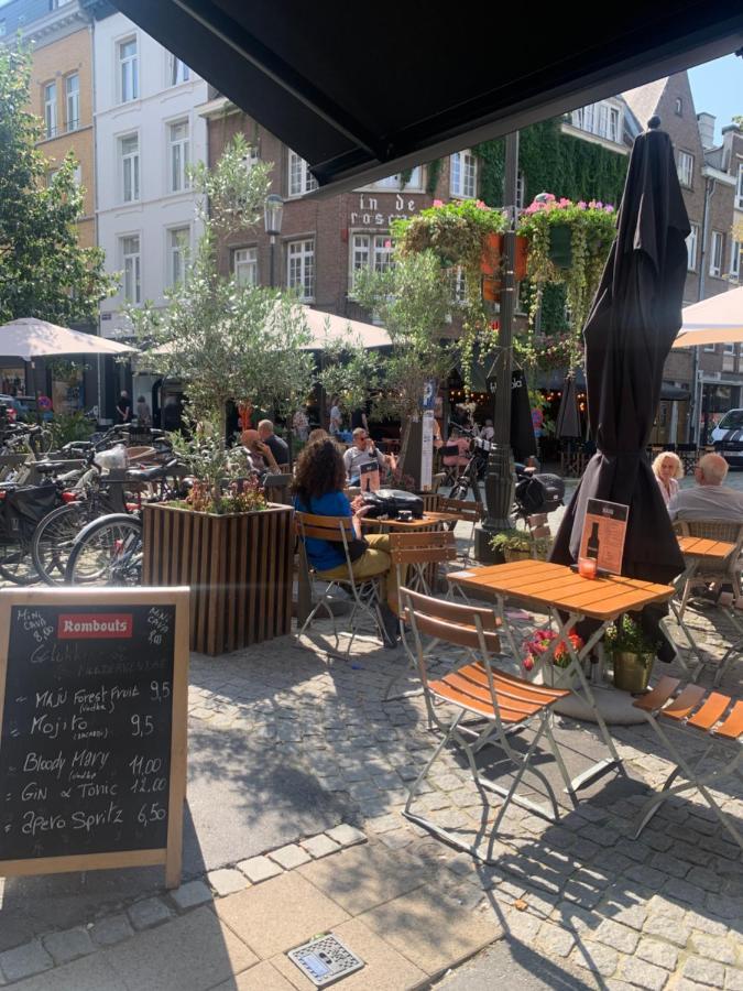 Maju * Antwerp